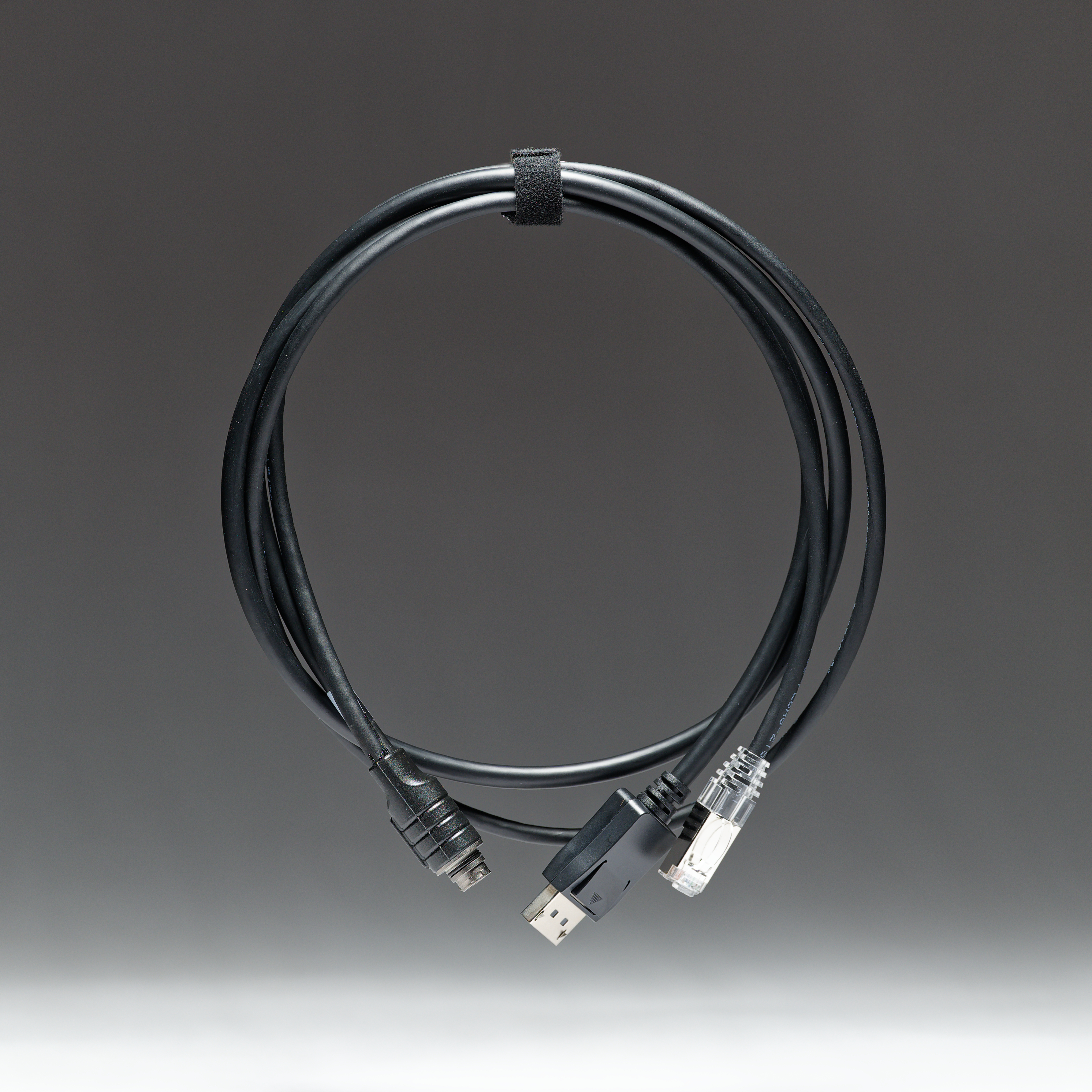 CardShark PAN+ to RJ45 and DisplayPort Cable, 1m