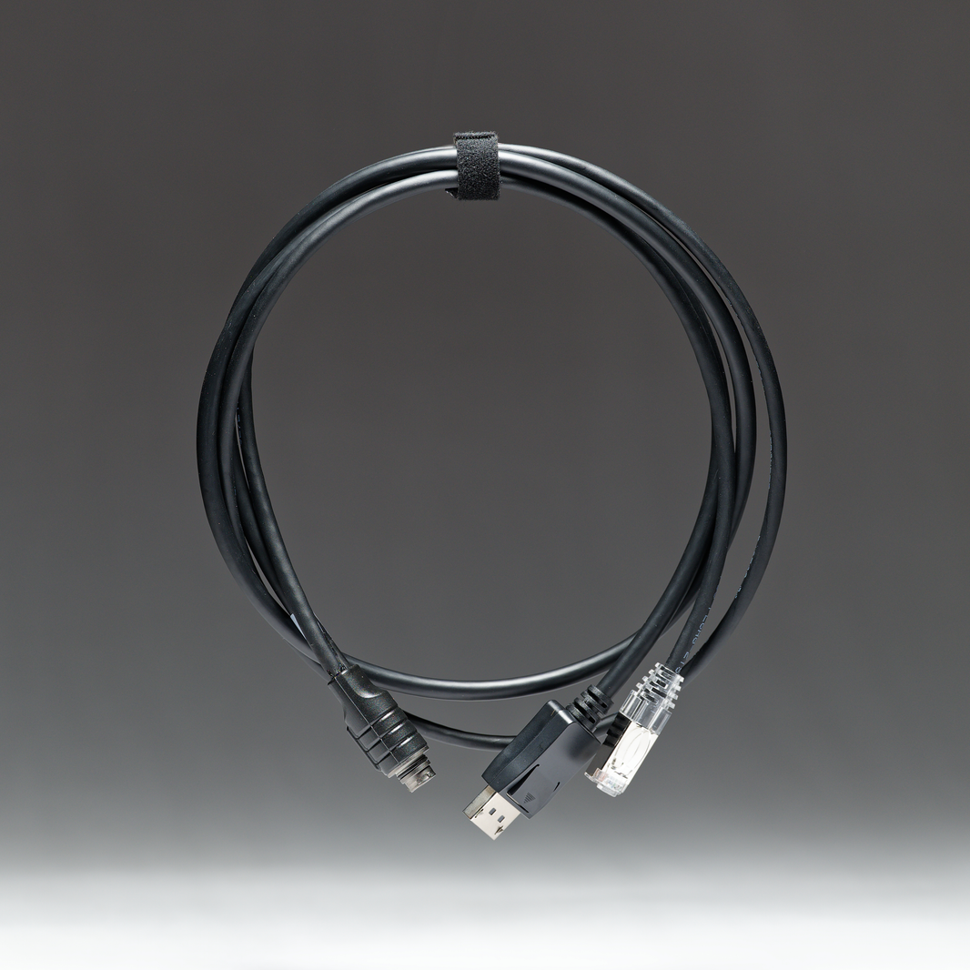 PAN+ to RJ45 and DisplayPort Cable