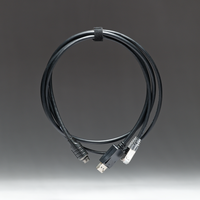 PAN+ to RJ45 and DisplayPort Cable
