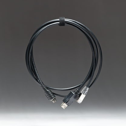 PAN+ to RJ45 and DisplayPort Cable