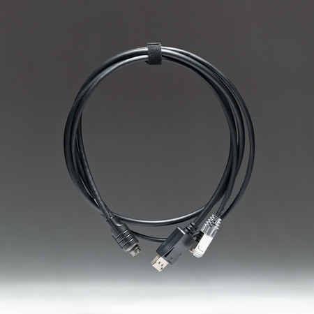 PAN+ to RJ45 and DisplayPort Cable
