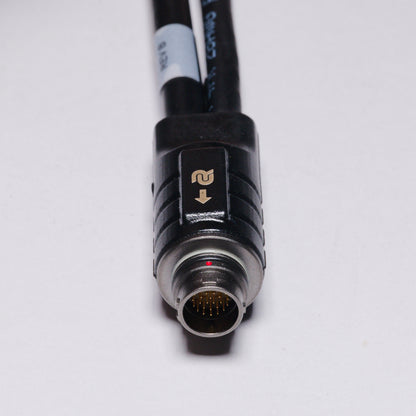 PAN+ to RJ45 and DisplayPort Cable